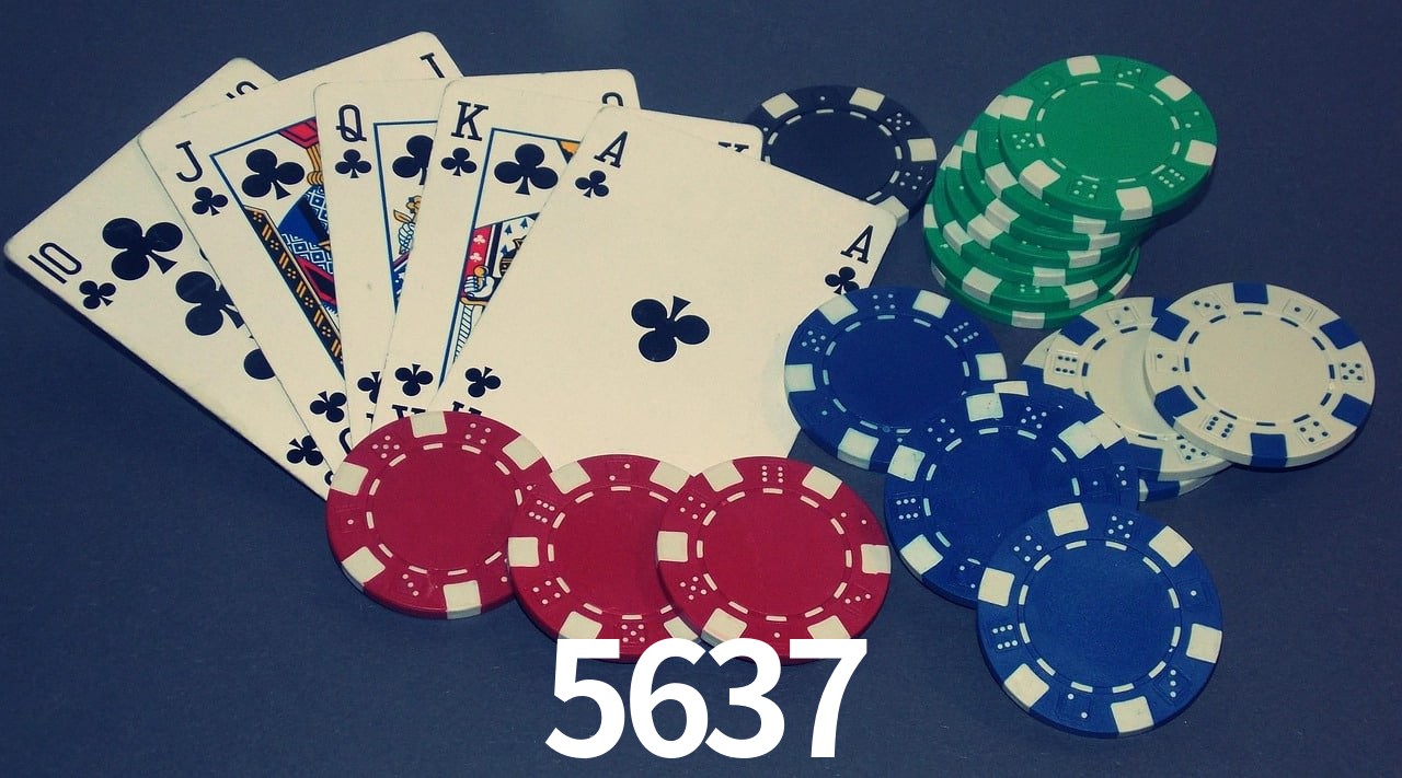 Experiência VIP 5637